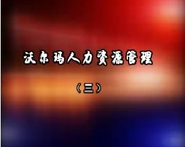 沃尔玛人力资源管理（三）