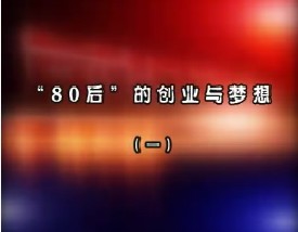 “80后”的创业与梦想—戴志康（一）