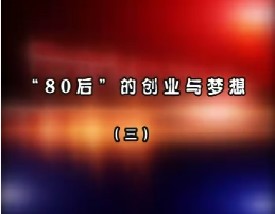 “80后”的创业与梦想—戴志康（三）