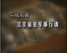 二战机密-北非秘密军事行动（下）