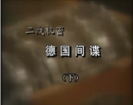 二战机密-德国间谍（下）