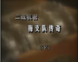 二战机密-梅支队传奇（下）