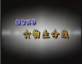 都市科学—食物生命线