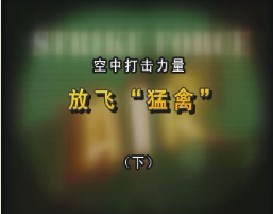 空中打击力量—放飞“猛禽”（下）