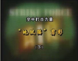 空中打击力量—“地狱猫”剪影（下）