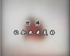 世博，让企业更美好