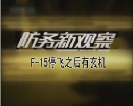 F-15停飞之后有玄机