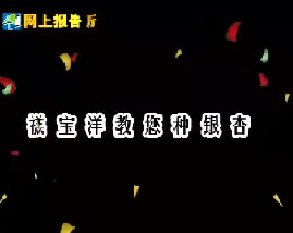 禚宝洋教您种银杏