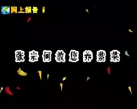 张宗何教您养紫菜