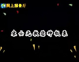 宋士元教您种板栗