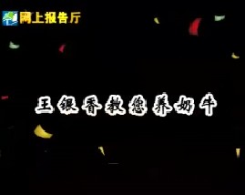 王银香教您养奶牛