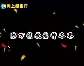 陆万锁教您种冬枣