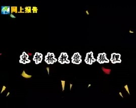 宋书桥教您养狐狸