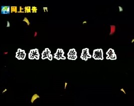 杨洪武教您养獭兔