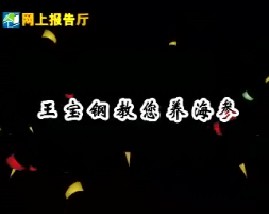 王宝钢教您养海参