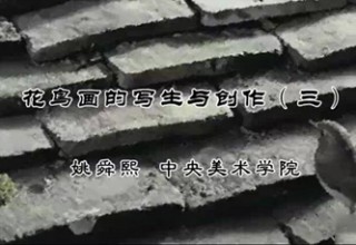 花鸟画的写生与创作（三）