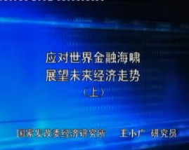 应对世界金融海啸展望未来中国经济走势（上）