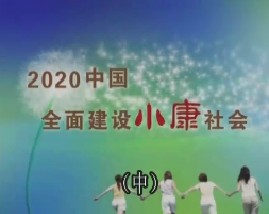 2020中国：全面建设小康社会（中）