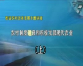 加强农村制度建设和积极发展现代农业（上） 