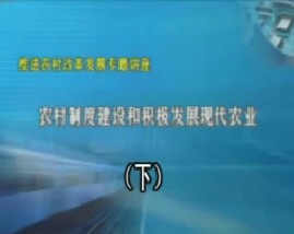 加强农村制度建设和积极发展现代农业（下） 