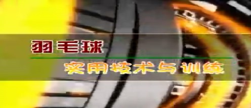 羽毛球实用技术与训练 