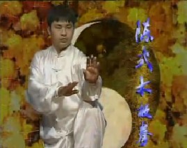 陈式太极拳竞赛套路（下）