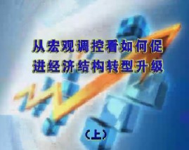 从宏观调控看如何促进经济结构转型升级（上）