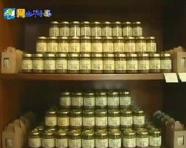 聚焦欧洲：第四十三集 