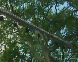 聚焦欧洲：第二十三集 