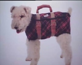 聚焦欧洲：第二十一集 