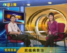 防止炭疽病和大灾过后严防大疫