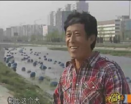 把野草卖给鸟巢和大学毕业迷上竹鼠