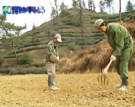 科学施肥技术（上）