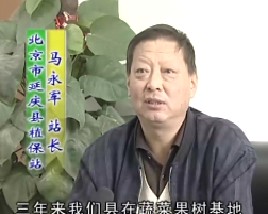 太阳能利用技术