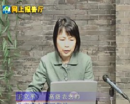 怎样鉴别肥料（下）