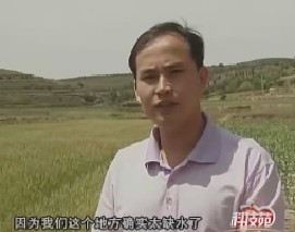 垄沟集雨种植技术