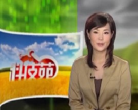 中华蜜蜂搬家记