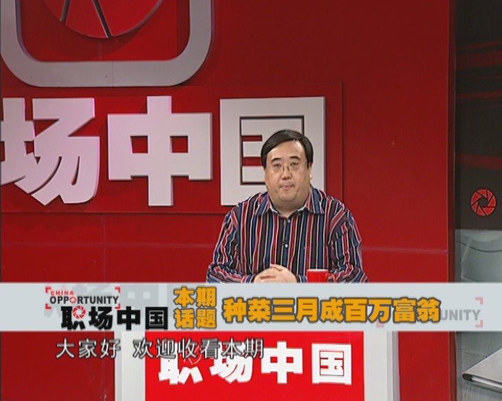 职场中国-种菜三月成百万富翁