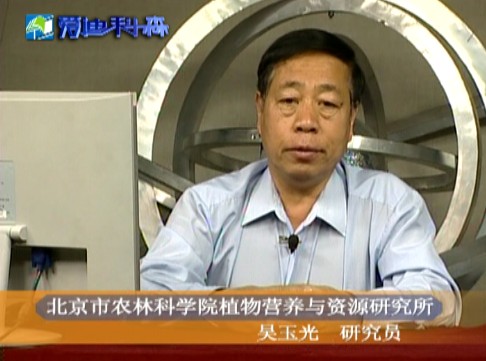 蔬菜叶面肥的应用技术（上）