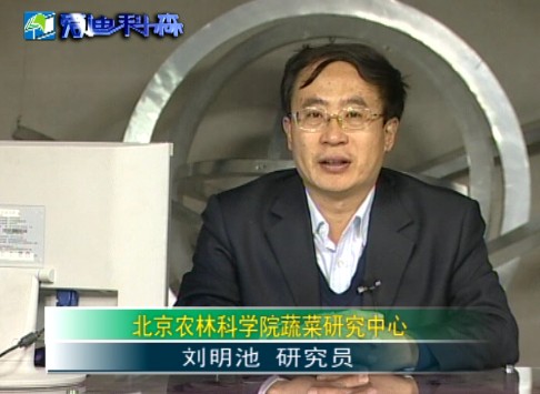 蔬菜综合节水与抗旱技术