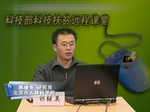 桃标准化果园建设中的一些关键技术问题（上）