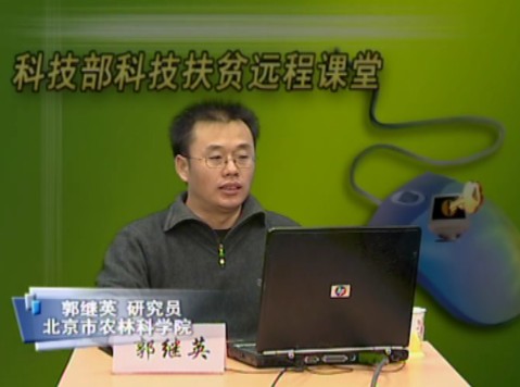 桃标准化果园建设中的一些关键技术问题（下）