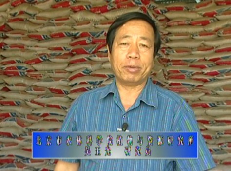 如何鉴别肥料之化肥篇