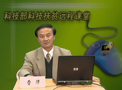 设施蔬菜高产高效栽培技术（六）