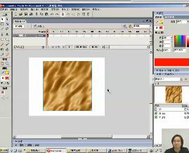Flash软件的使用（十）