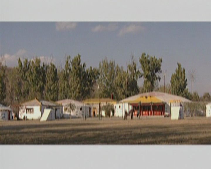 中国的世界遗产（五）