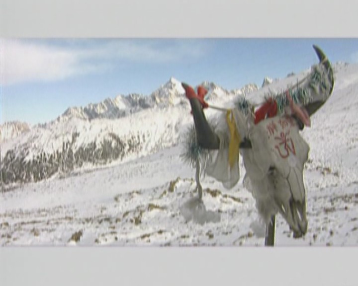 中国的世界遗产（十七）