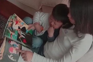 25-27月语言能力训练