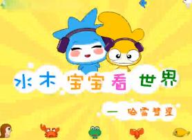 水木宝宝地球篇_哈雷彗星