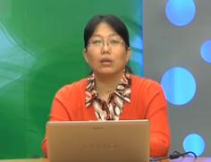 学前教育基础理论（四）